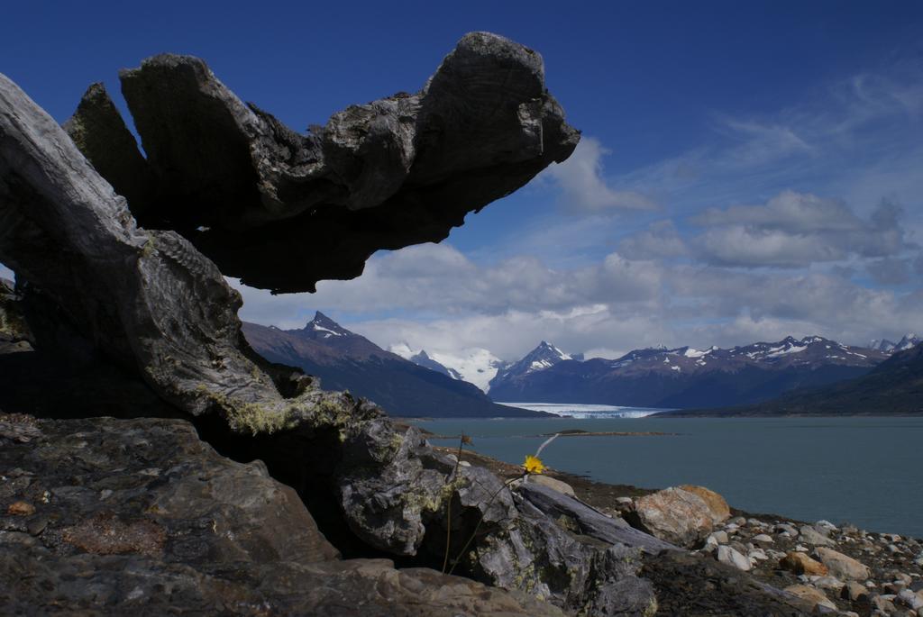 Hotel Adventure Domes Glamping à Colonia Francisco Perito Moreno Extérieur photo