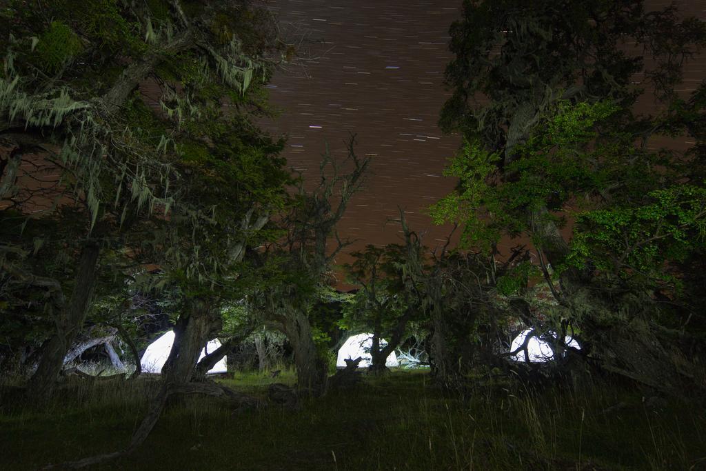 Hotel Adventure Domes Glamping à Colonia Francisco Perito Moreno Chambre photo