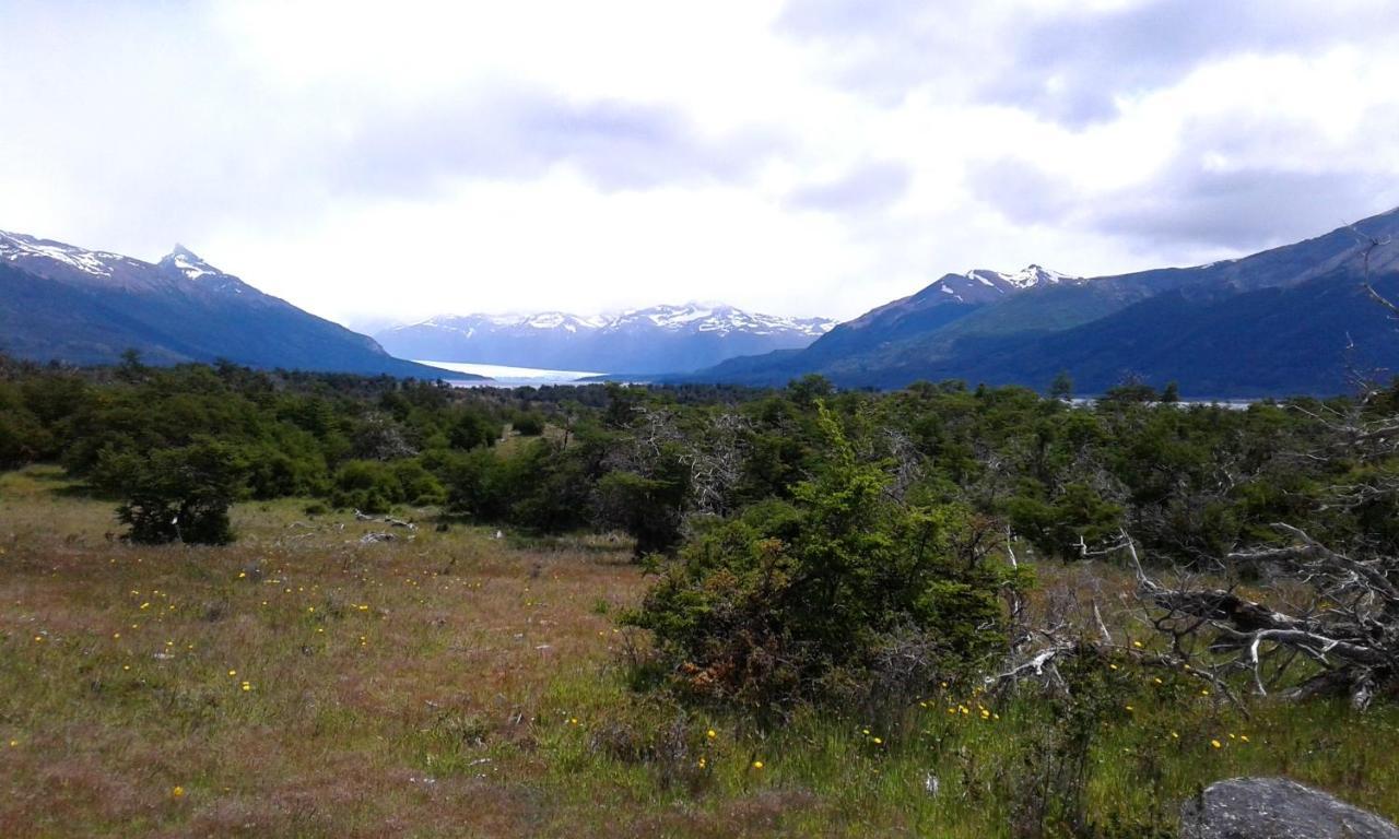 Hotel Adventure Domes Glamping à Colonia Francisco Perito Moreno Extérieur photo