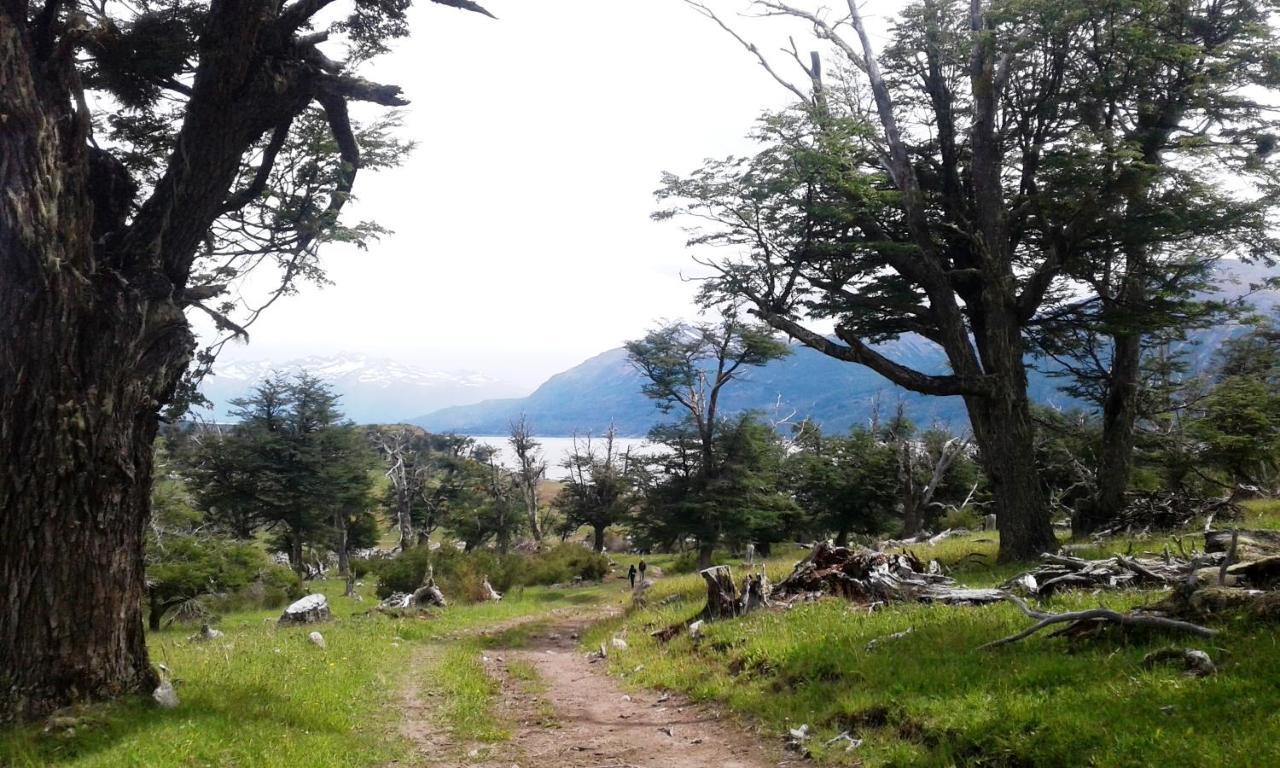 Hotel Adventure Domes Glamping à Colonia Francisco Perito Moreno Extérieur photo